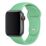 LYSW Silicone Strap for Apple Watch - Spearmint Green